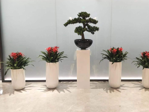 组合类