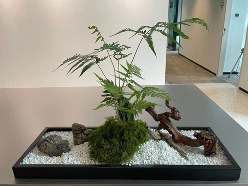 台面类