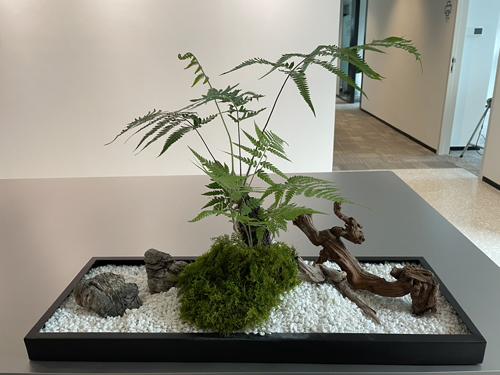 微景观